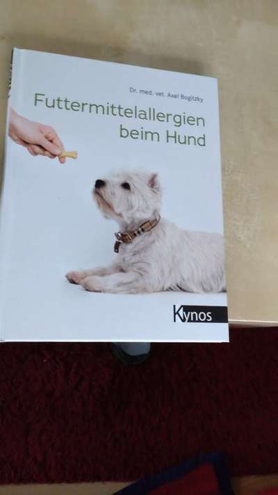 Allergiker-Hunde-Beitrag-Bild