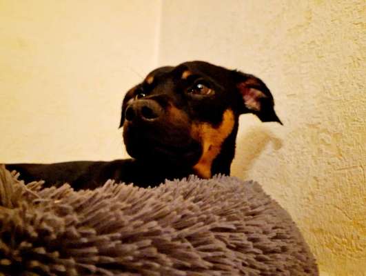 Was würdest du jetzt anders machen?-Beitrag-Bild