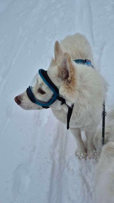 Augenverfärbung nach sonnigem Schnee-Urlaub bei Sami-Mix-Beitrag-Bild