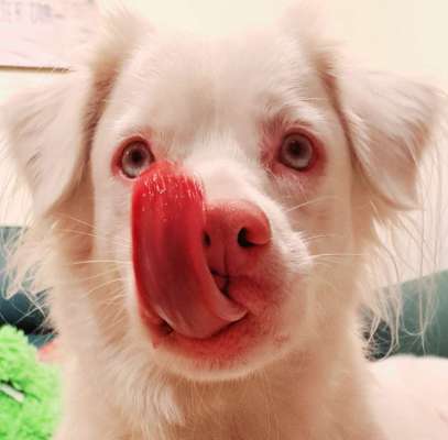 Blick fürs Detail!-Beitrag-Bild