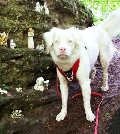 Blick fürs Detail!-Beitrag-Bild