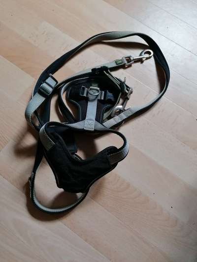 Hunter Geschirr, Leine und Halsband-Beitrag-Bild