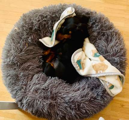 42. Collage Challenge - Ruheplatz-Beitrag-Bild