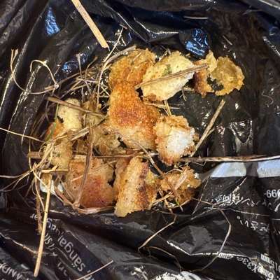 Giftköder-Vermutlicher Giftköder-Bild