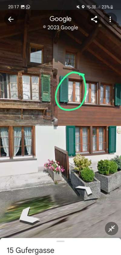 Giftköder-Hunde Hasser-Bild