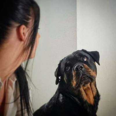 Daniela mit's Profilbild