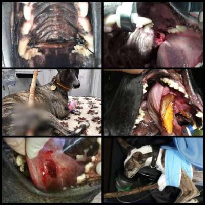 GEFAHR STÖCKCHEN SPIELEN!-Beitrag-Bild