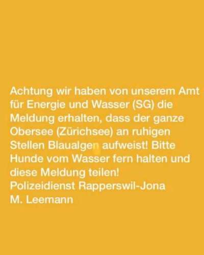 Giftköder-Blaualgen-Bild