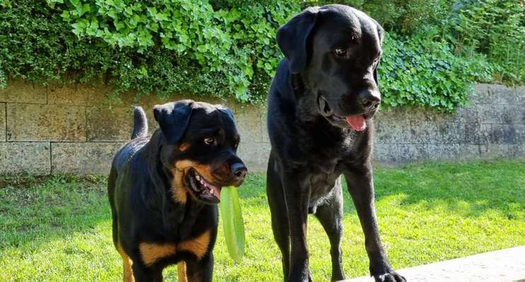 Lieblings "nervige Sprüche"-Beitrag-Bild