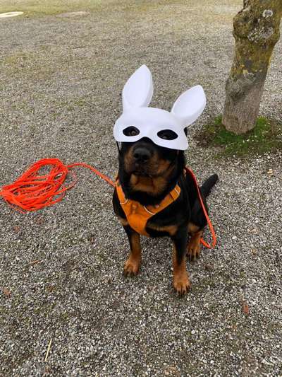 Ratespaß geht weiter-Beitrag-Bild