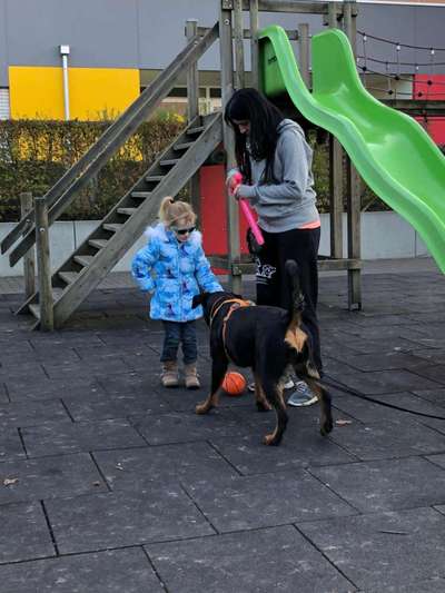 Hundehalter Knigge-Beitrag-Bild