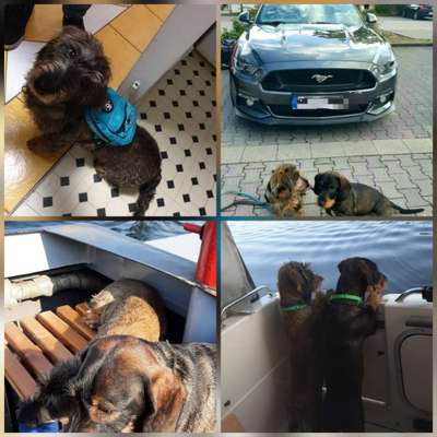 141. FOTO CHALLENGE 
Reisende soll man nicht aufhalten-Beitrag-Bild