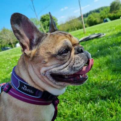 Jennifer's Profilbild