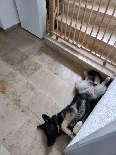 Fotochallenge Nr.65-Beitrag-Bild