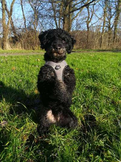 Lieblingsbild :D-Beitrag-Bild