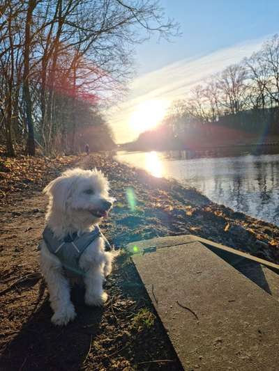 Fotochallenge Nr. 67: Euer Lieblingsbild-Beitrag-Bild