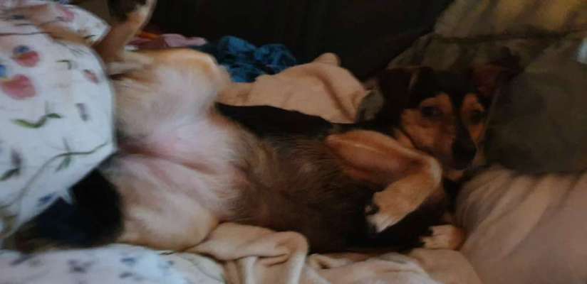 Die unbequemsten und lustigsten Schlafpositionen-Beitrag-Bild