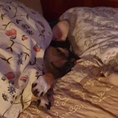 Die unbequemsten und lustigsten Schlafpositionen-Beitrag-Bild