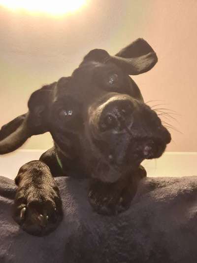 23. Handy Foto-Challenge-Beitrag-Bild