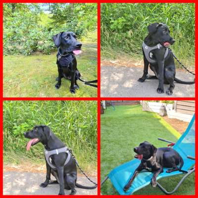 18. Collagen Challenge - Zunge raus!-Beitrag-Bild