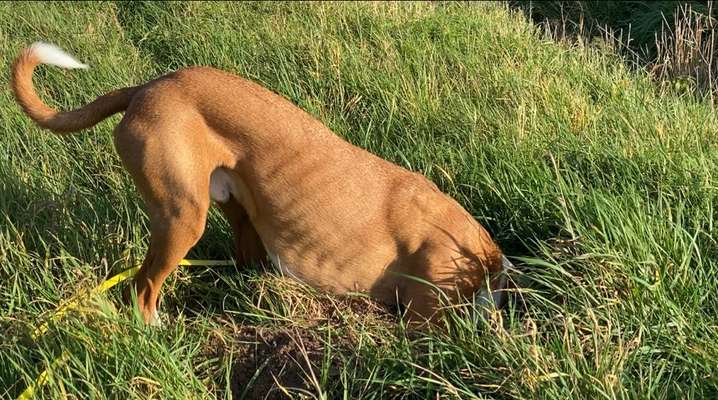 Fotochallenge 129-Beitrag-Bild