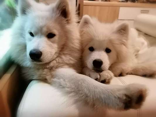 zeigt mal eure schönsten Fotos von euren Lieblingen.-Beitrag-Bild