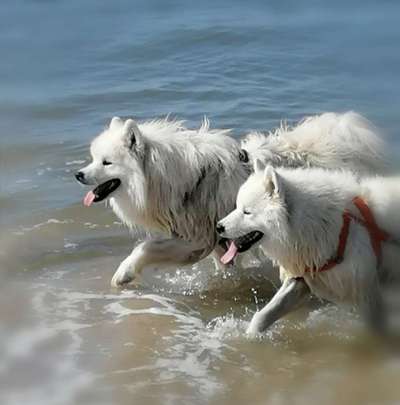 Lieblingsbild-Beitrag-Bild