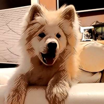 Der Hund als Cartoon-Beitrag-Bild