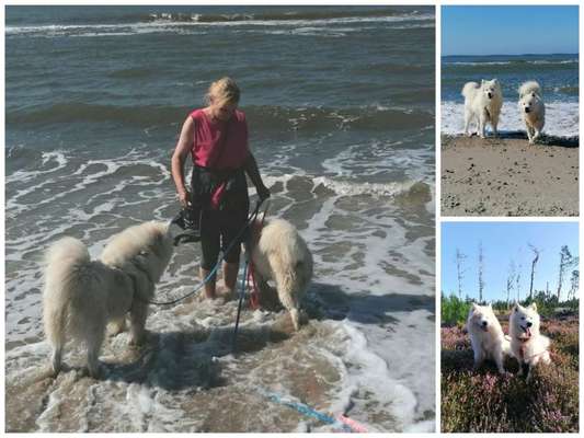 Urlaub Dänemark-Beitrag-Bild