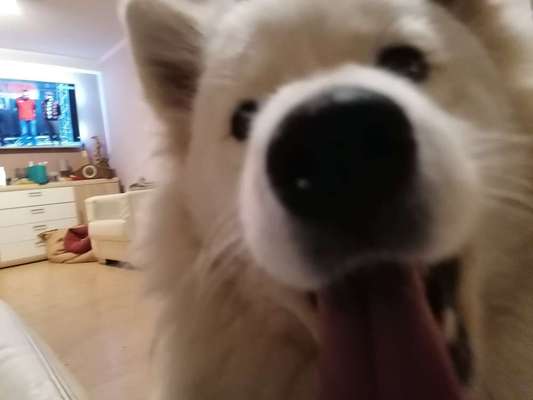 Un...scharf Bilder-Beitrag-Bild