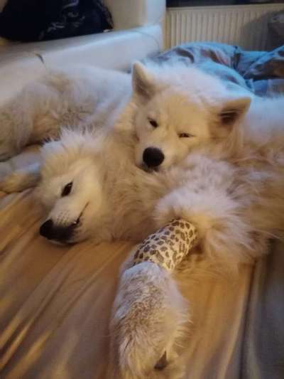 Challenge 30  Freundschaft-Beitrag-Bild