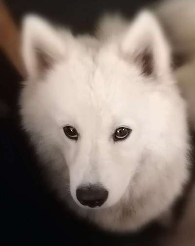 Fotochallange Nr. 57     PORTRÄT.   Beendet!!!!!!!!-Beitrag-Bild