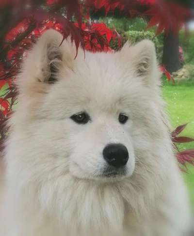 Fotochallange Nr. 57     PORTRÄT.   Beendet!!!!!!!!-Beitrag-Bild