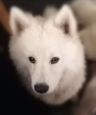 Lieblingsbild-Beitrag-Bild