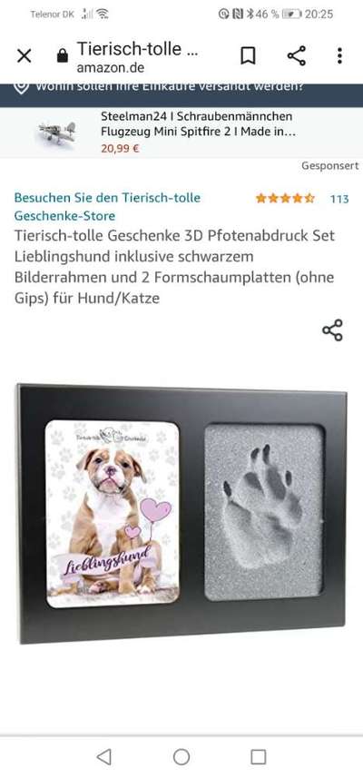 Gipsabdruck Pfote-Beitrag-Bild