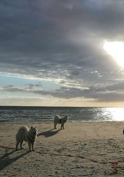 42.Fotochallenge - Eure schönen Momente beim Spaziergang-Beitrag-Bild
