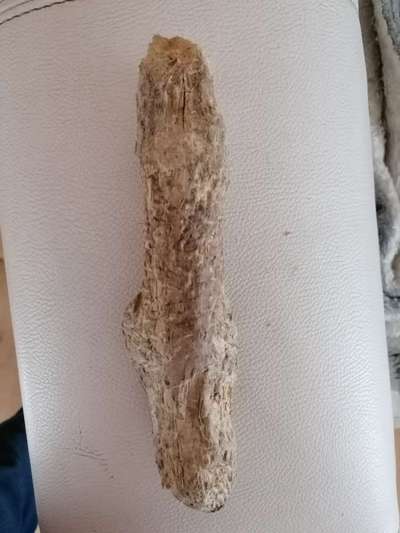 Natürliche Kauartikel-Beitrag-Bild