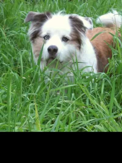 Fotochallenge Nr. 56 - geliebte Senioren-Beitrag-Bild