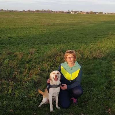 Hundetreffen-Spaziergang in seifertshain