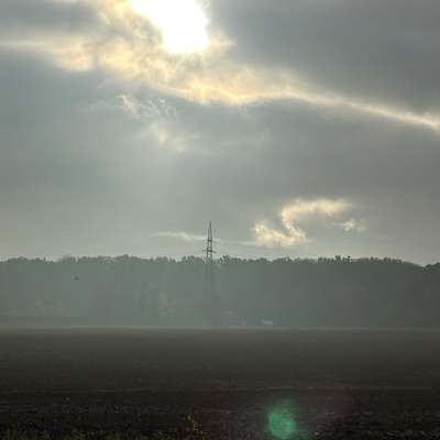 Hundetreffen-Gassirunde-Bild