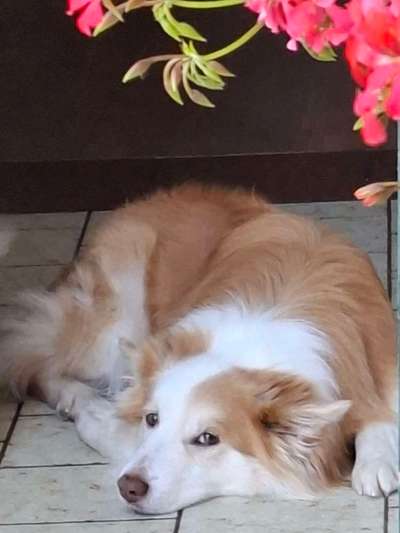 Zunge rollt nach oben(Video)-Beitrag-Bild