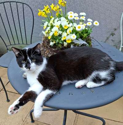 Was hat euch heute gefreut?-Beitrag-Bild