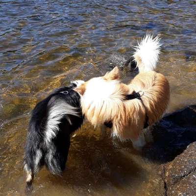 Gabriela's Profilbild