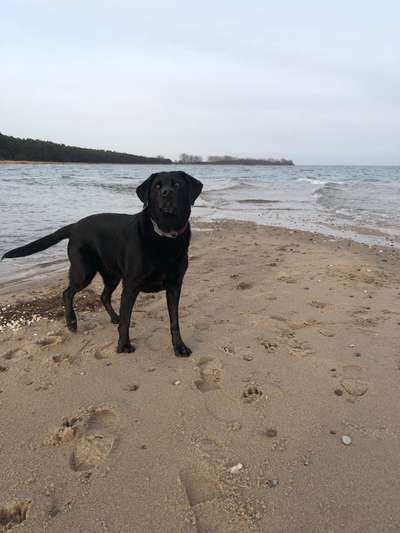 Eure Strandbilder :)-Beitrag-Bild