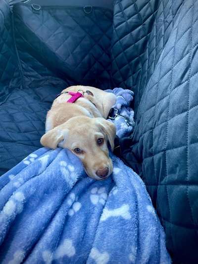 117. Fotochallenge-Beitrag-Bild