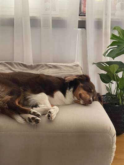 Foto Challenge Nr. 134-Beitrag-Bild