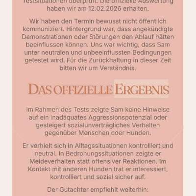 Der Fall "Sam" - Angriff oder missglückter Rettungsversuch?-Beitrag-Bild