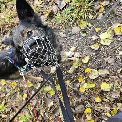 Was hat euch heute genervt?-Beitrag-Bild