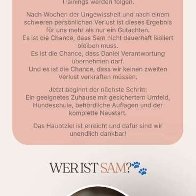 Der Fall "Sam" - Angriff oder missglückter Rettungsversuch?-Beitrag-Bild