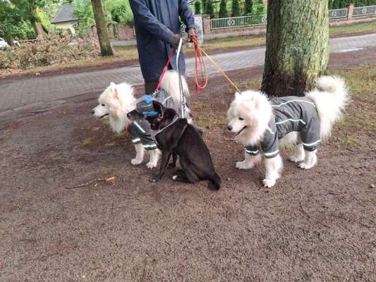Regenjacke die wirklich hält, was sie verspricht-Beitrag-Bild